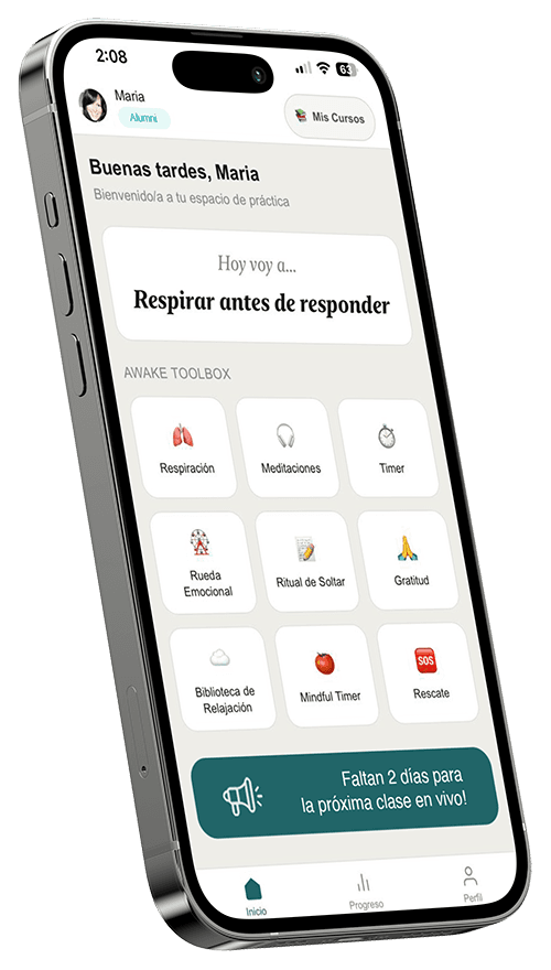 Vista de la app Awake Toolbox en un teléfono